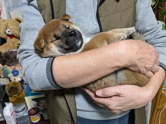 お迎え当時の竜太くん