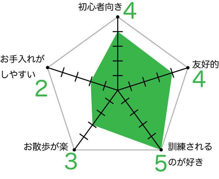 トイ・プードルのグラフ