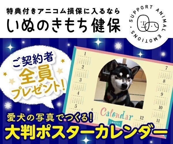 いぬのきもちweb Magazine もっと犬が好きになる