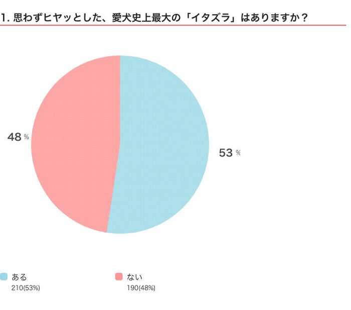 いぬのきもちWEB MAGAZINE 「犬あるある」に関するアンケート