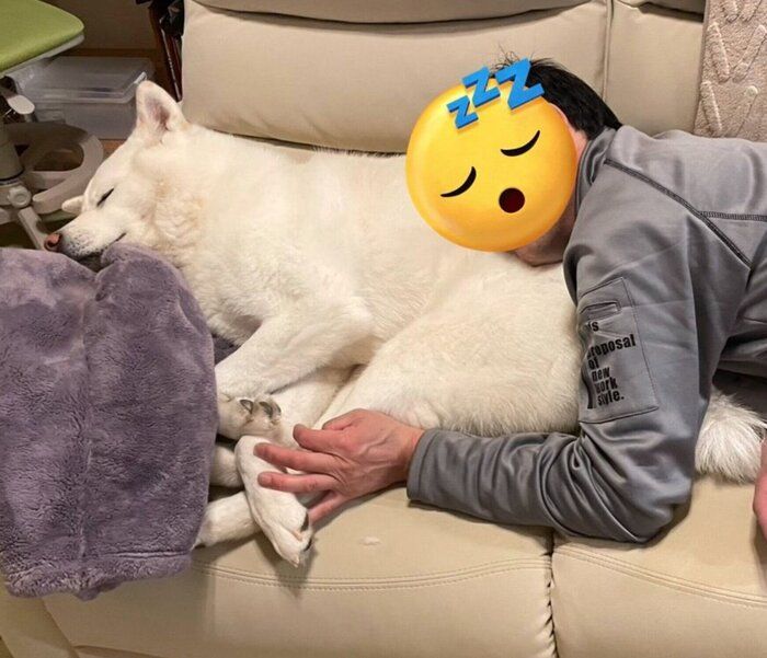 スヤスヤ眠るこまちちゃん