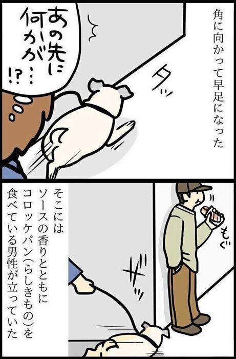 「おいしいニオイは分かる?」愛犬が年をとっても衰えないもの|連載「パグ犬・めー」vol.73