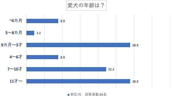 愛犬の年齢は?