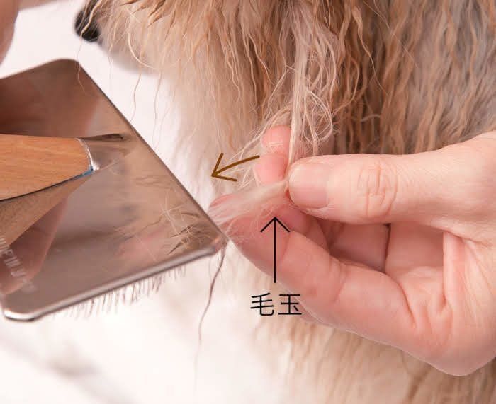 行程①