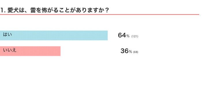 愛犬は、雷を怖がることがある？