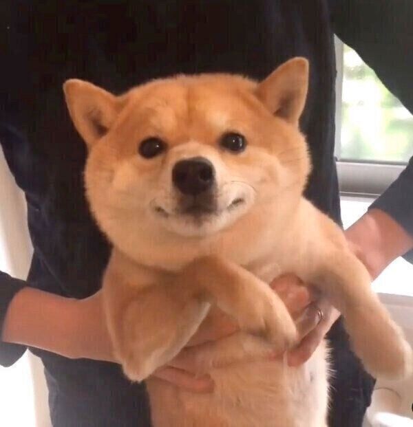 お風呂に入る豆千代くん