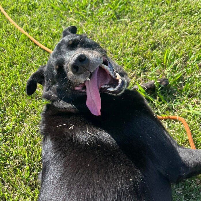 楽しそうなはなちゃん