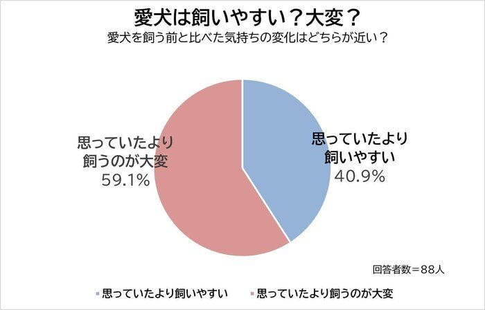 愛犬は飼いやすい？大変？