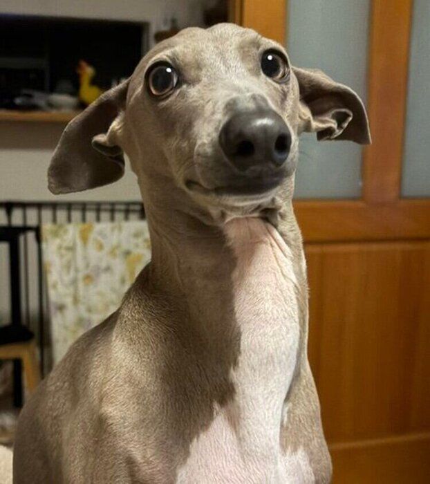 笑顔のプットくん