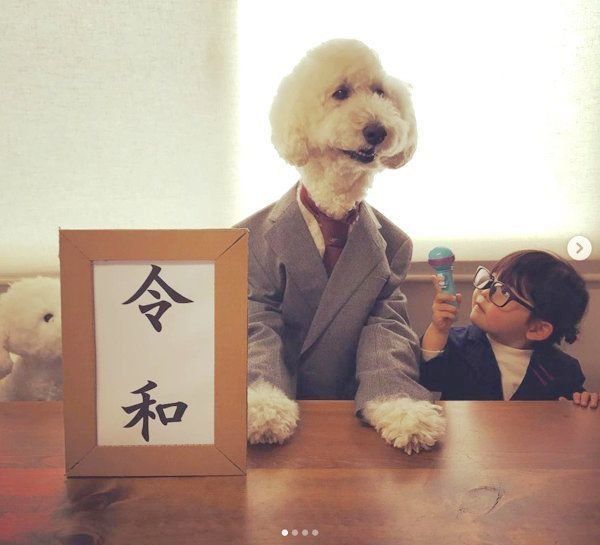 スタンダード・プードルのりくちゃんと、女の子・まめちゃん