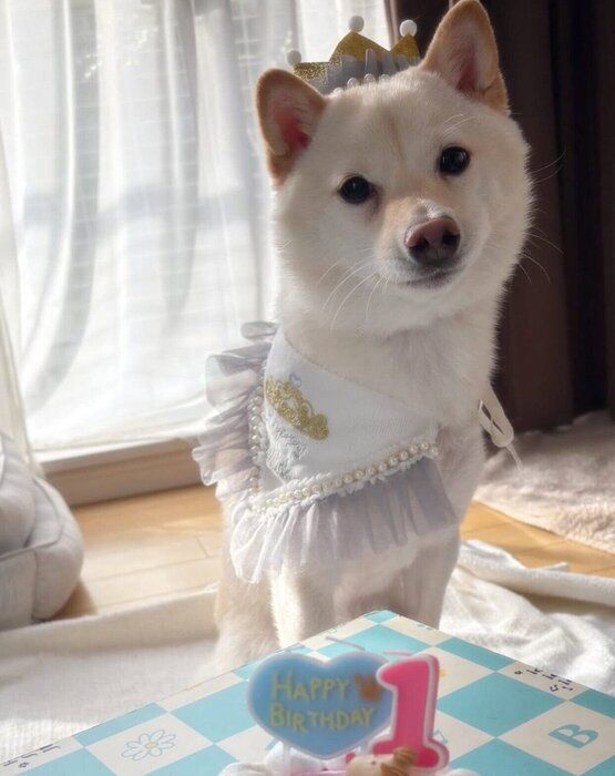 1�ͤˤʤä����������