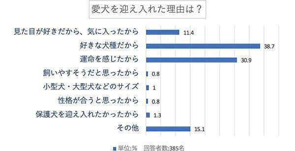 愛犬を迎え入れた理由は?
