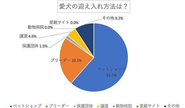 愛犬の迎え入れ方法は?