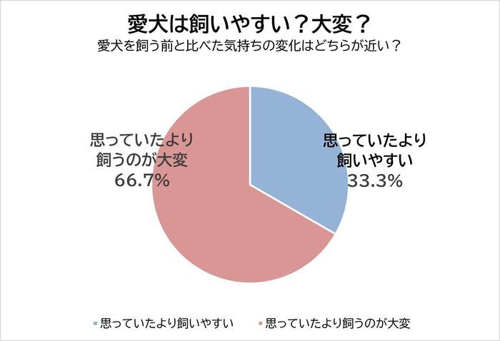 愛犬は飼いやすい？大変？