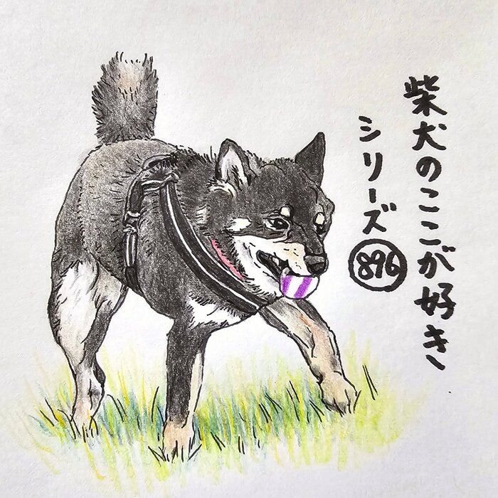 Ƹ뤢롢ޤˤҤ礳Ҥ礳˸⤭ϤޤȤϢܡ֤줳ơvol.297
