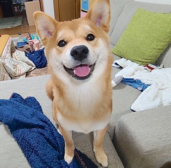 笑顔の麦くん