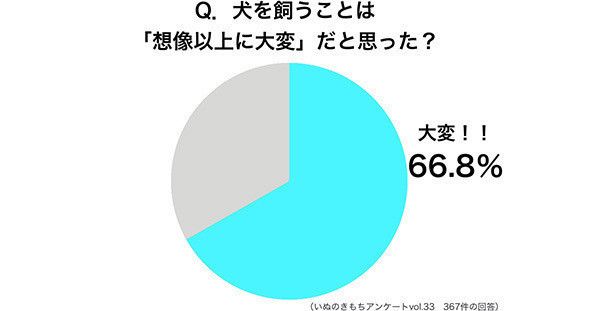 円グラフ