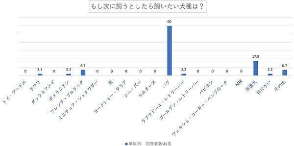 もし次に飼うとしたら飼いたい犬種は?