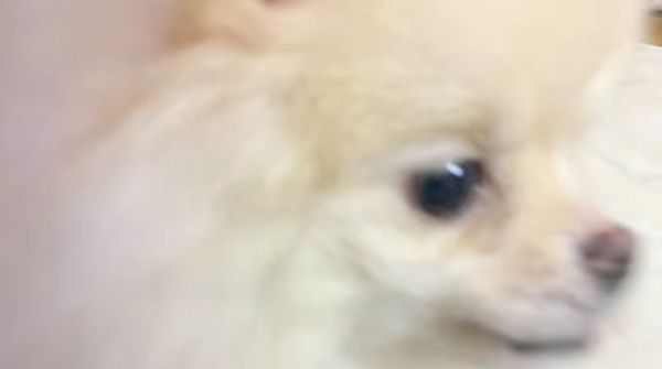 ごはん
