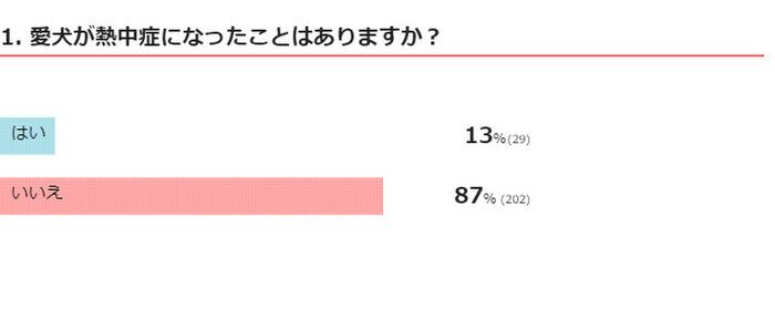※2021年5月実施「いぬのきもちアプリ」内アンケート調査(回答者数231人)