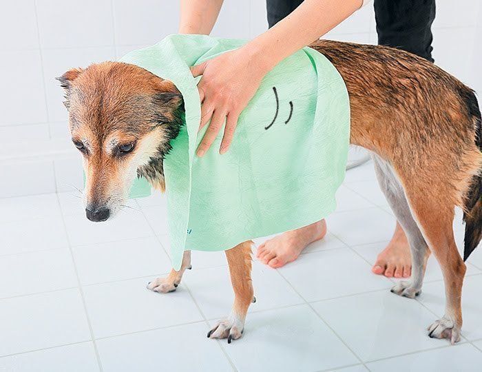 タオルドライ