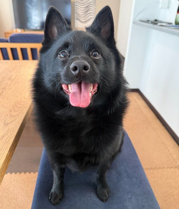 3才になったうにくん