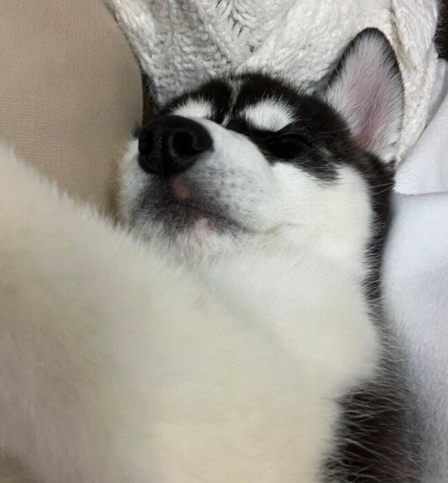 生後2カ月のころの銀慈くん