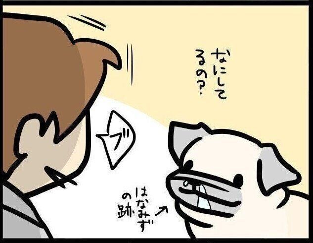 【連載】パグ犬めー vol.83