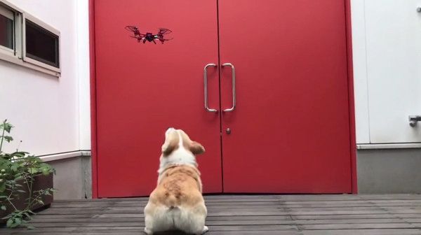 ドローン