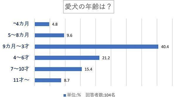 愛犬の年齢は?