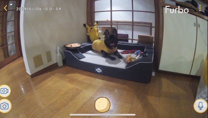 ペンとラブリ