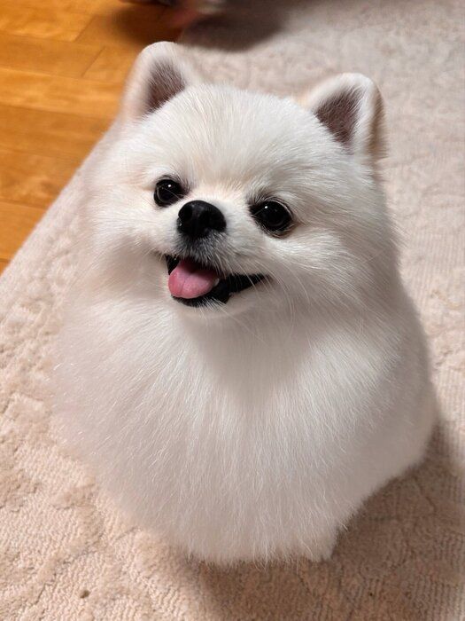 別の日　ニコニコ“笑顔”がとってもかわいいとろろちゃん