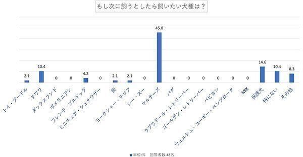 もし次に飼うとしたら飼いたい犬種は?