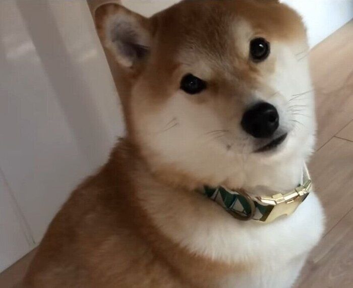 テーブル下