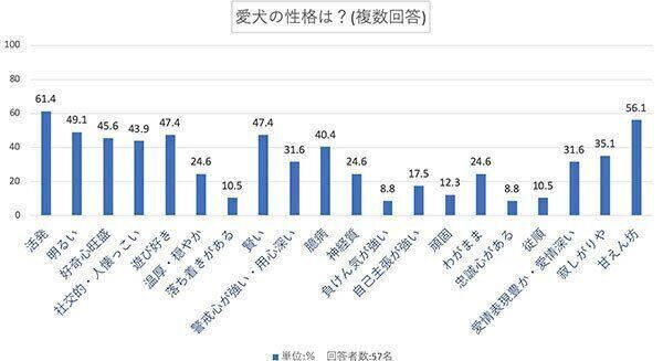 愛犬の性格は?