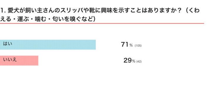愛犬が飼い主さんのスリッパや靴に興味を示すことはある？