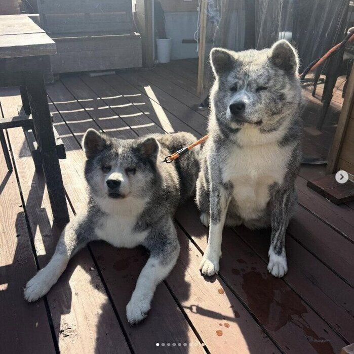 ひなたにたたずむとらくんと紫遥ちゃん