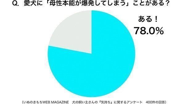 グラフ:愛犬に「母性本能が爆発してしまう」ことがある?