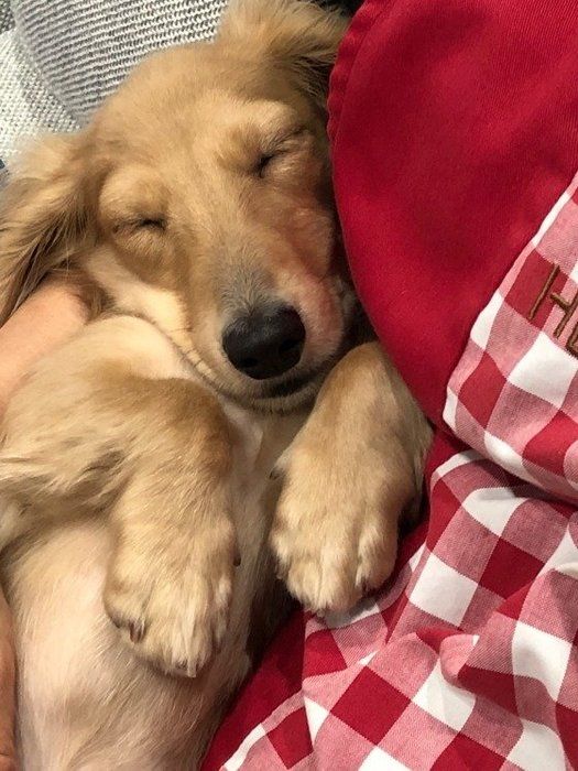 ママのにおいが安心!