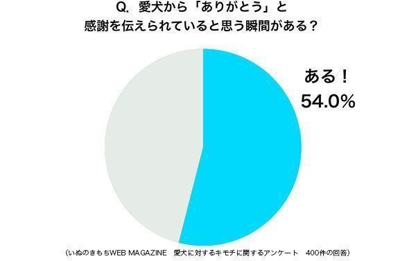 グラフ:愛犬から「ありがとう」と感謝を伝えられていると思う瞬間がある?
