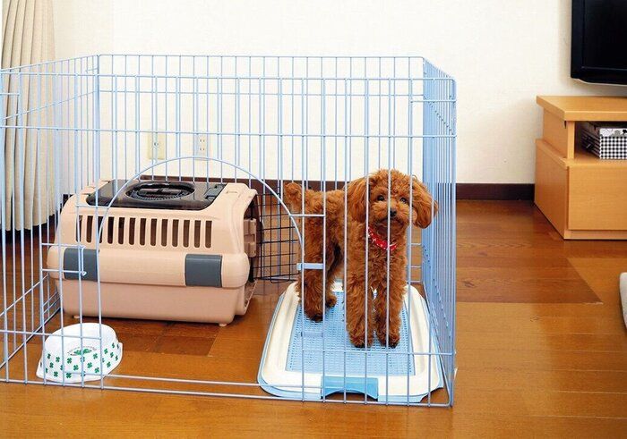 ちなみにこれはサークルです。