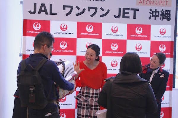 JALワンワンJET沖縄