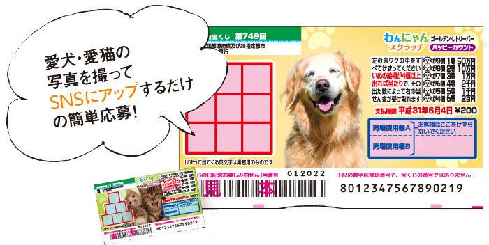 愛犬・愛猫がスクラッチの券面に!?写真投稿キャンペーン実施中!