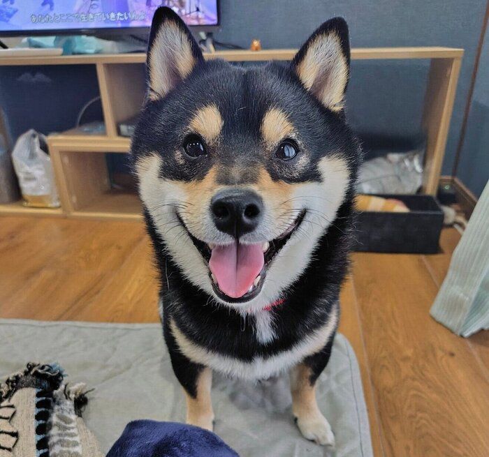 笑顔で見つめるこたくん