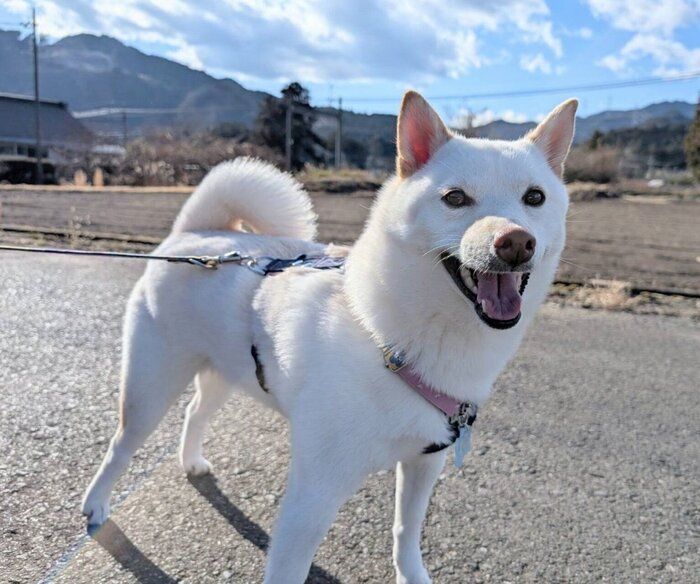 成長したまんまるくん