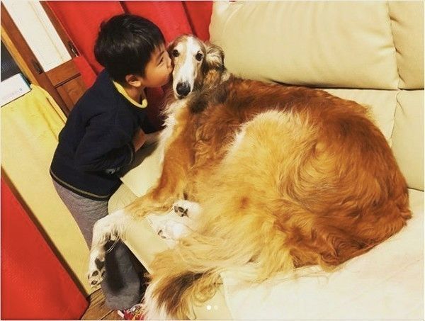 ワンコと子ども