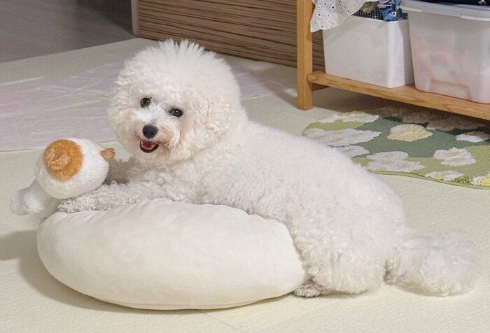 楽しそうなつくねちゃん