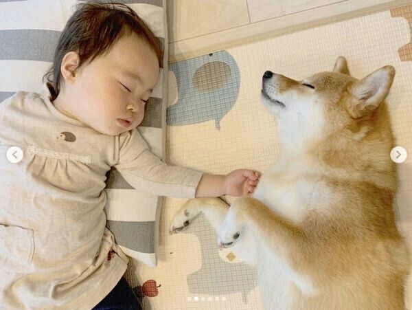 幸せそうに眠る花子ちゃんとモモ子ちゃん