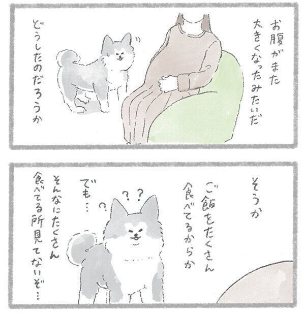 『こんにちは、いぬです』(幻冬舎)