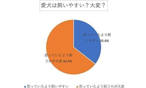 愛犬は飼いやすい? 大変?